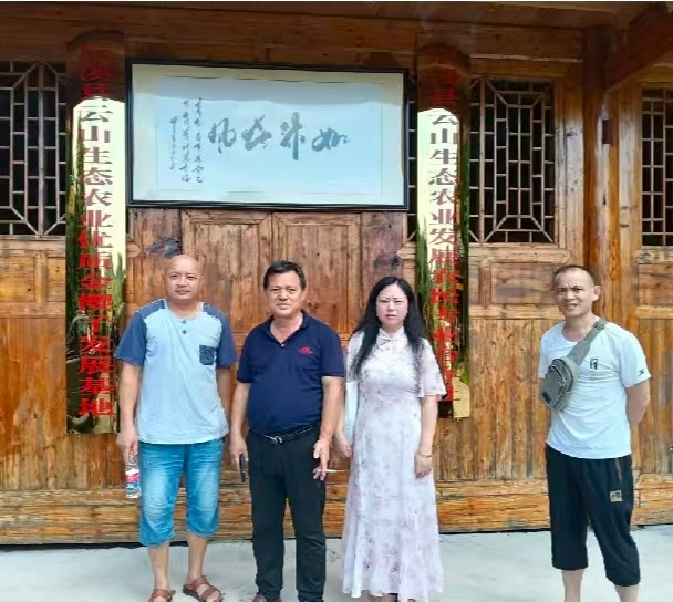 示例图片